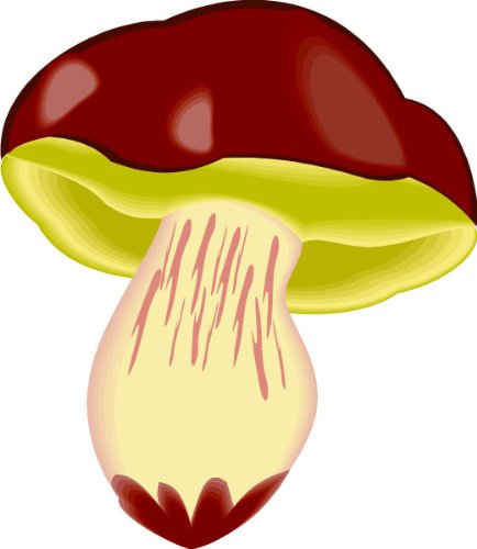 Preisvergleich Produktbild Indigos Wandtattoo, Bunt