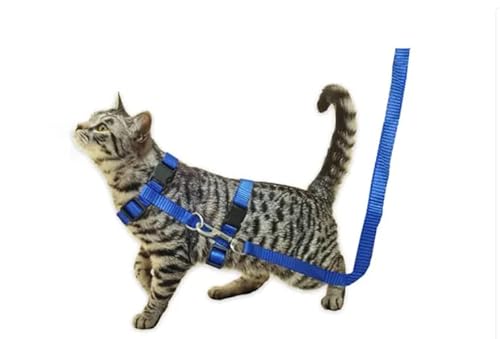 Coleira Peitoral para Gatos com Guia e Regulagem rosa