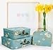 Amedoo Decorative Box Set - 3 Storage Boxes with Lids, Keepsake & Trinket Boxes, Mini Luggage Gift Box, Vintage Suitcases Home Decoration