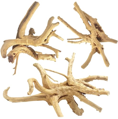Image of Jorewood Natural Large Spiderwood Driftwood for Aquarium Decor Rptile Fish Tank Decoration Assort Branch 7-11'' 3 Pcs