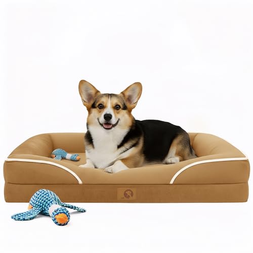 Homemate Dog Bed Large Sized Dog: 36'x27' Orthopedic Pet Bed with Toy