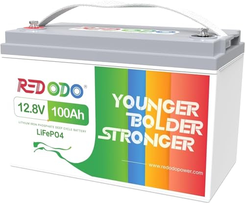 Redodo Batteria 12V 100Ah LiFePO4 ricaricabile al litio...