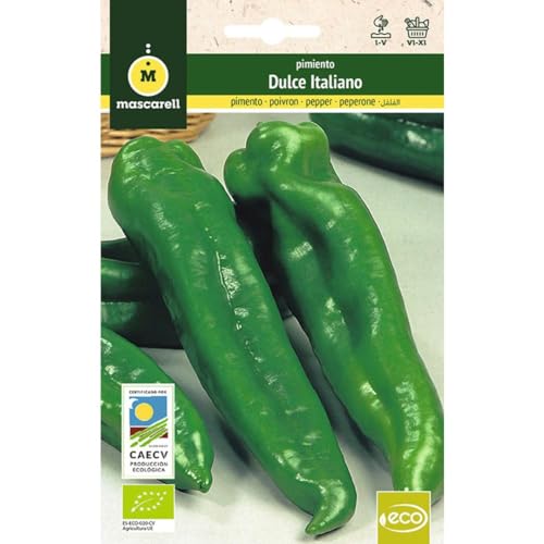 Mascarell Semillas, PIMIENTO DULCE ITALIANO, Semillas Ecológicas, 0,5 Gramos