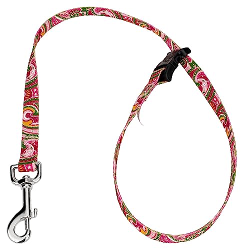 Country Brook Petz - 5/8 Inch Pink Paisley Grooming Loop with Quick Release Buckle with 14 Unique Designs