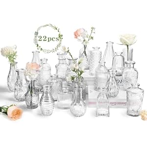 22 Pack Bud Vase in Bulk – BEAHOT Clear Flower Vases for Wedding Decorations, Glass Vase for Centerpiece Table Decorations, Small Boho Vase for Home Decor, Wedding Decor, Centerpieces, Party, Office