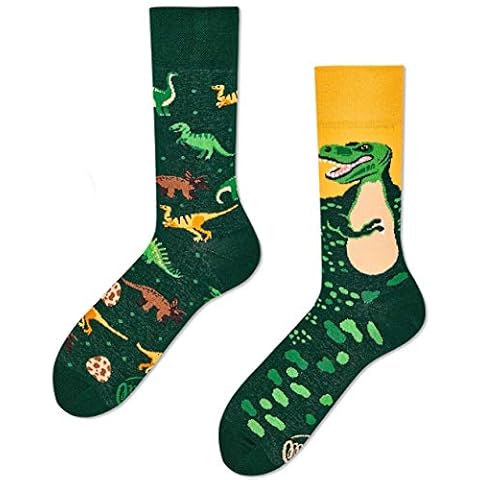 Chaussettes Dinosaures Many Mornings Cover