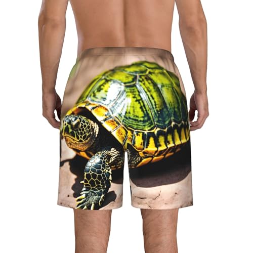 Lord Howe Island Sea Turtle Print Stylish Men Beach Shorts Lightweight Cozy Swim Trunks Summer Casual Outings Holiday3