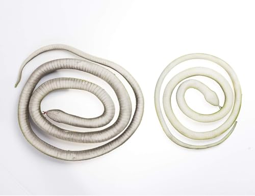Image of Realistic Rubber Fake Snake Toy Garden Snake to Keep Birds Away Scare Squirrels Halloween Prank Props Scare Toy