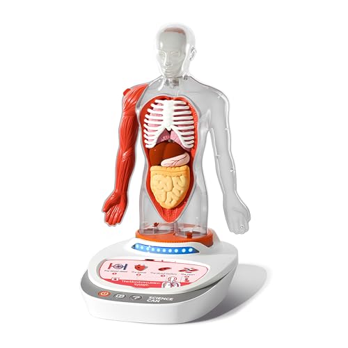 Science Can-ScienceCan 1600222022de0001 Modelo 3D del Cuerpo Humano-Un Viaje de Conocimiento con Concurso y Sonido-a Partir de 6 años, Multicolor, Mittel