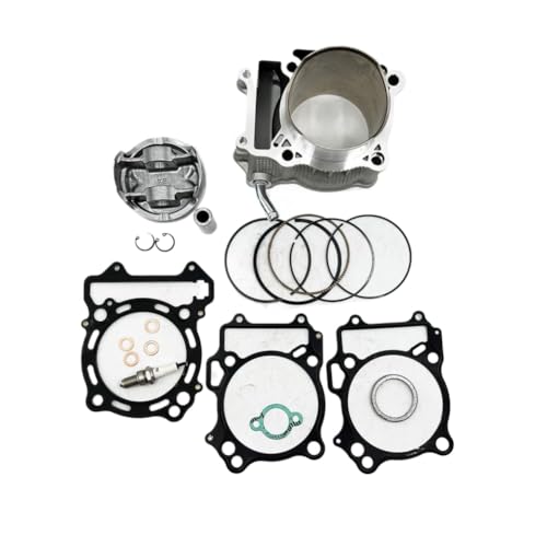 �G���W���V�����_�[�s�X�g�������O�K�X�P�b�g�L�b�g ATV LTZ400 KFX400 Quadsport Z400 KFX400 �ƌ݊�������