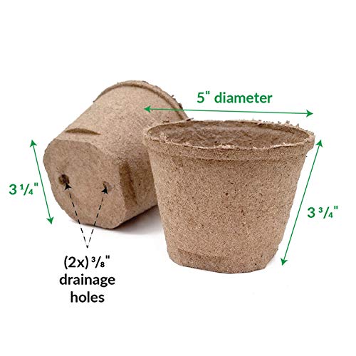 Plantation Products Jp508 Round Peat Pot, 5-Inch, 6-Pack (2) #TOP1