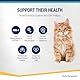 Nutriscience LysineAid Gel für Katzen, 50 ml, Futterzusatz zur Linderung bei Infektion mit FHV-1 Virus