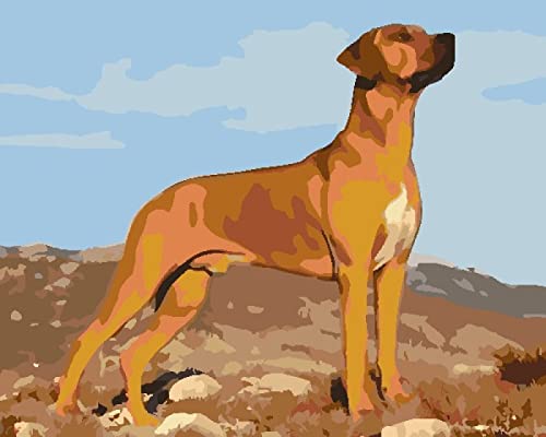 Point de croix broderie kit complet chien 11CT canevas pré-imprimé 40x50 cm
