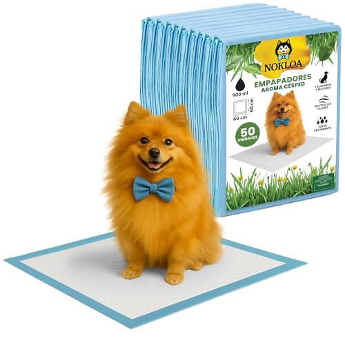 NOKLOA Empapadores Perros 60x60 con Olor césped – Pack 50 NOKLOA – Almohadillas Entrenamiento Perro – Tapetes absorbentes Desechables