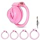 BDSMLOVE Peniskäfig mit Schamlippen,Flat Chastity Cage Male small,Keuschheitskäfig Herren,Sex Toyset Herren,Keuschheitsgürtel für Herren,Penis Käfig mit 4 Cockringe extrem (S)