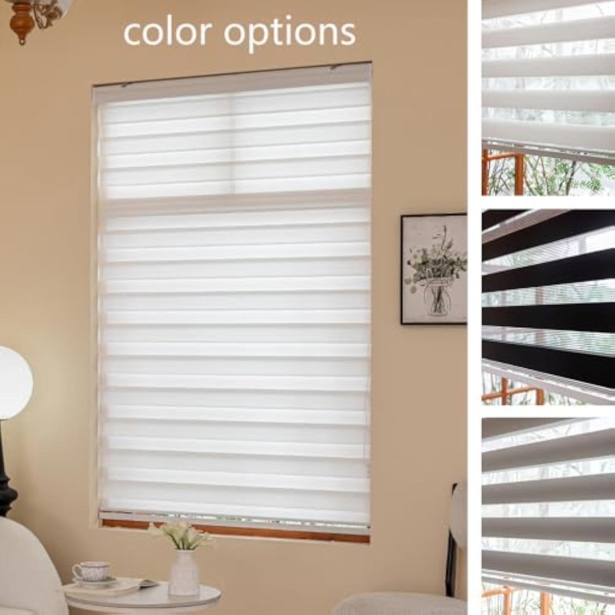 Zebra Blinds Light Filtering Dual Layer Roller Window Shades