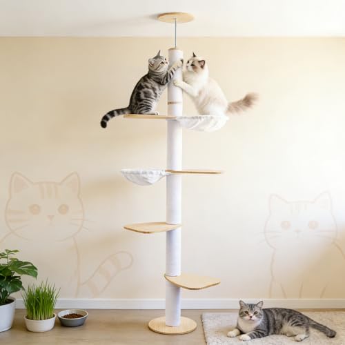 Arbre à Chat à Hauteur de Plafond – Centre d'activités d'escalade...