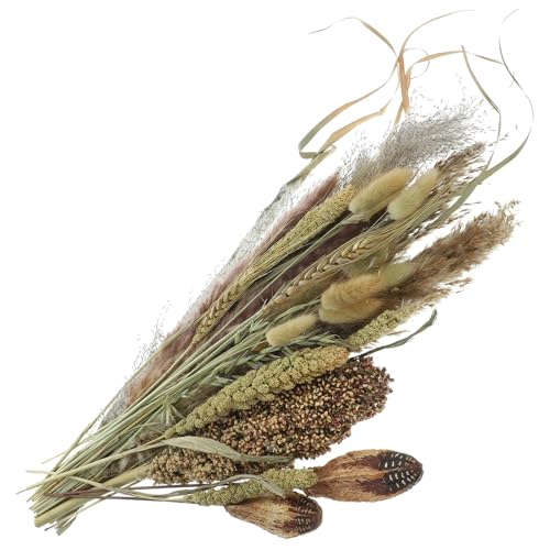 Ramo de pasto seco pampas y escoba para decoración