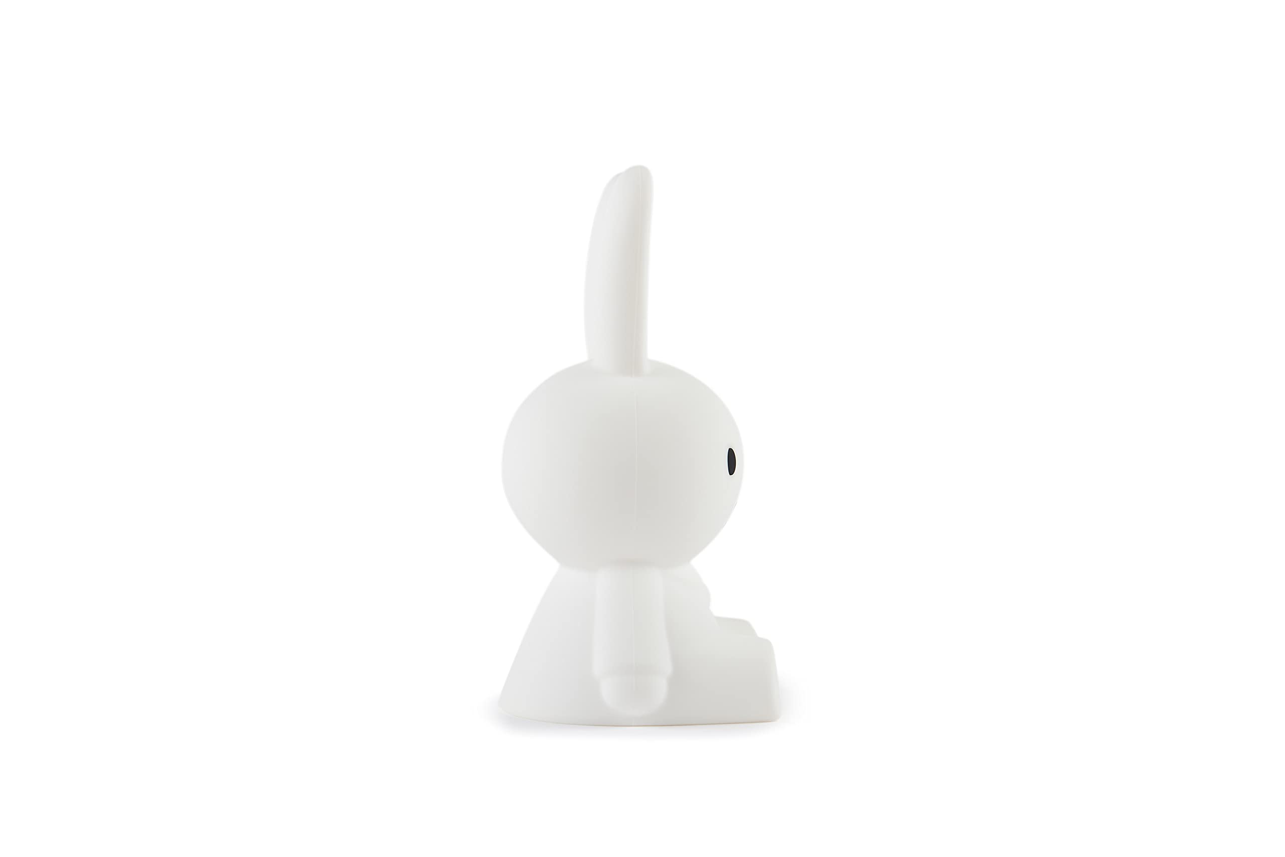 Miffy First Light - Bol.com LvB