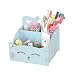 Artkingdome DIY Artwork Cat Folding Collection Pen Pencil Holder Cosmetic Organizer Desk Storage Sorter Blue