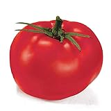 Park Seed Variety of Tomato Seeds, Planting Vegetables, Easy to Grow, Non-GMO, Perfect for Harvesting, Better Boy Hybrid, Pack of 30