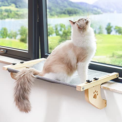 Amazon Best Sellers Best Cat Window Perches