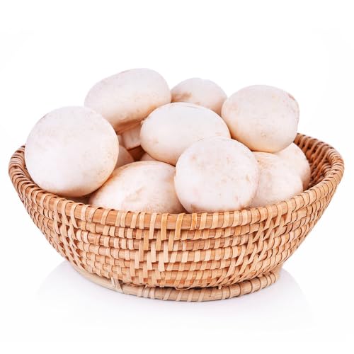semillas de hongos - Hierbas de cocina, planta ajedrea planta de interior de cocina de jardín de hierbas semillas de hongos y hierbas medicinales semillas de hortalizas tradicionales 200pcs