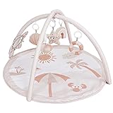 Baby Gym and Infant Play Mat, Sensory and Motor Skill Development Language Discovery Activity Gym, N