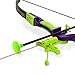 Sport Series Archery Shooting Set, Bow & Arrow Toy, Basic Archery Set Outdoor Hunting Game, Bow and Arrow for Kids Boys Girls, Include Shoulder-strapped Quiver and 12 Suction Cup Arrows