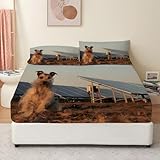 [Impression Bien Conçue] : Technologie d'impression numérique, le modèle est lumineux, moderne, mode, adapté aux adultes et aux étudiants, aux universités, à un beau / cadeau chaud / de noël pour n'importe quel jour / anniversaire etc.