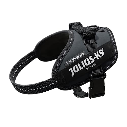 Julius-K9, IDC Powergeschirr, Größe: XS / Mini-Mini, Anthrazit