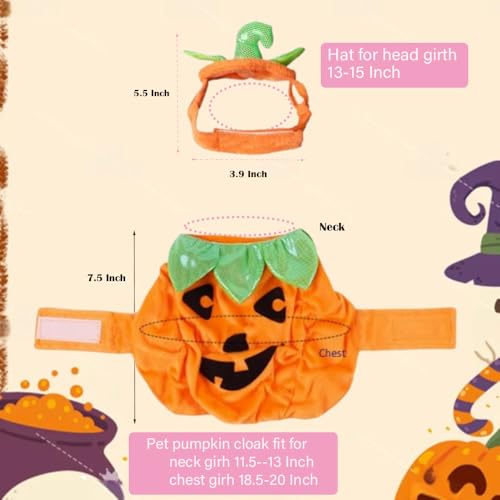 Disfraz de Calabaza para Gatos y Perros Pequeños Halloween miniatura 4