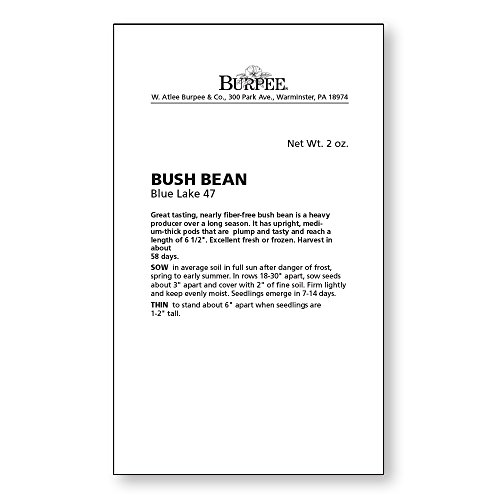 Burpee Blue Lake 47 Bush Bean Seeds 2 Ounces Of Seed #TOP2