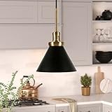 Zeno 8.5' Wide Pendant with Metal Shade in Blackened Bronze/Blackened Bronze