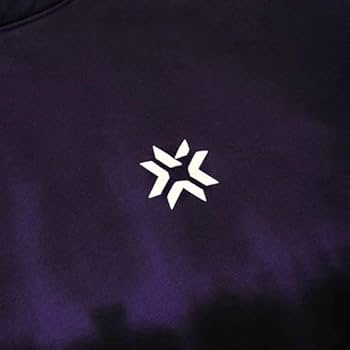 ヴァロラント  VCT フーディ　Lサイズ 2025 VCTチームカプセル」各チームのスキンデザインが公開