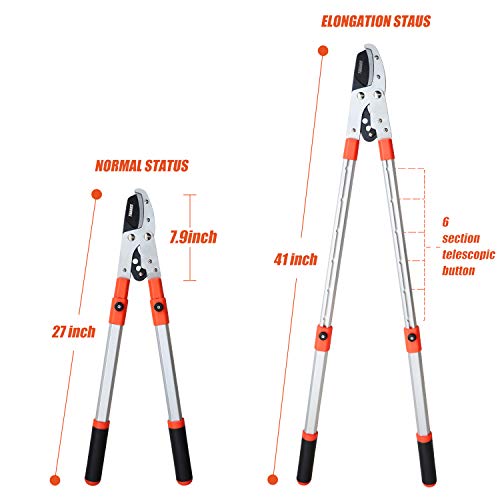 Thanos A1101 Extendable Anvil Loppers Tree Trimmer With Compound Action,Chops Thick Branch Ease,28-40'' Telescopic Heavy Duty Branch Cutter,2 Inch Clean Cut Capacity. #TOP2