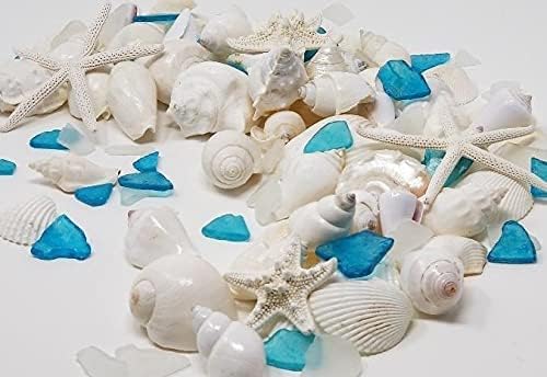 Miniatura 5 de Conchas marinas naturales, estrellas de mar y cristal de mar, generosas 1.5 libras recogidas a mano, empaquetadas a mano, bricolaje, manualidades,