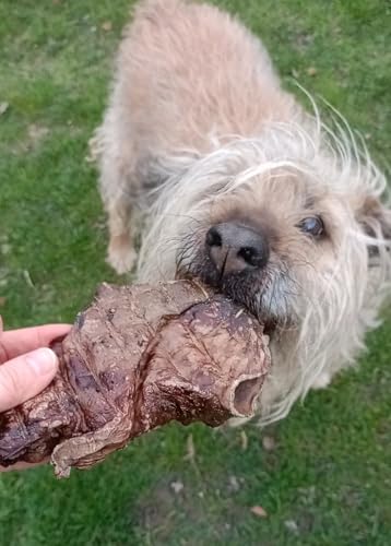 Lucze, Getrocknete Pferdelungen für Hund 500g, 100% Natürlicher Kausnack, Hypoallergen, Zahnpflege für Hunde, Langanhaltender Kauspaß, Leckerli für Empfindliche Hunde, Ohne Künstliche Zusätze
