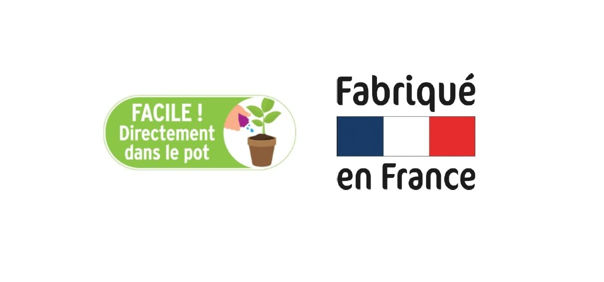 FERTILIGÈNE Engrais Plantes d'Intérieur Prêt à l'Emploi 1L Anti-Jaunissement