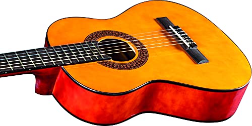 Guitares EKO 6 cordes classique (06204100) - Les Beatles, Paul McCartney, John Lennon, RIngo Starr, George Harrison Guitares EKO 6 cordes classique (06204100) – Image 6