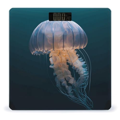 Báscula digital de baño con vidrio templado y pantalla LCD