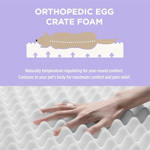 Image of LE SURE Outdoor Waterproof Dog Beds Medium Size,Orthopedic Pet Mat,30x20In | Crate Pad for Dogs with Oxford Fabric Surface,Removable Washable Cover,Egg Foam Kennel Pads,Non slip Bottom,Grey