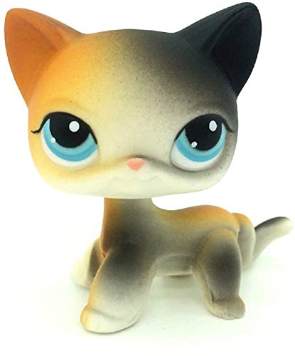 N/N Mini Littlest Pet Shop, LPS Toy Rainbow Orange Black Short Hair Cat Kitty Kid Gift N/N Mini Littlest Pet Shop, LPS Toy Rainbow Orange Black Short Hair Cat Kitty Kid Gift