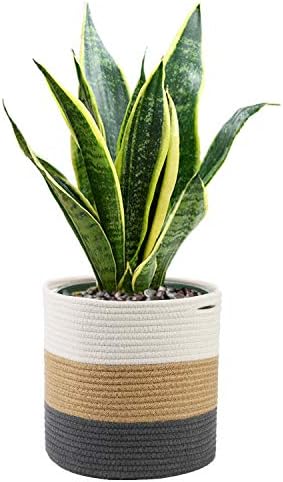 Woven Cotton Rope Plant Basket up to 10 inches Flower Pots Floor Indoor House Potted Plant Planters Pots Washable Storage Organizer Basket Natural Materials Handwoven Modern Home Décor, 11×11 inches