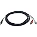 Tripp Lite 3.5mm Mini Stereo to Two RCA Audio Y Splitter Adapter Cable (3.5mm M to 2x RCA M), 12-ft.(P314-012)
