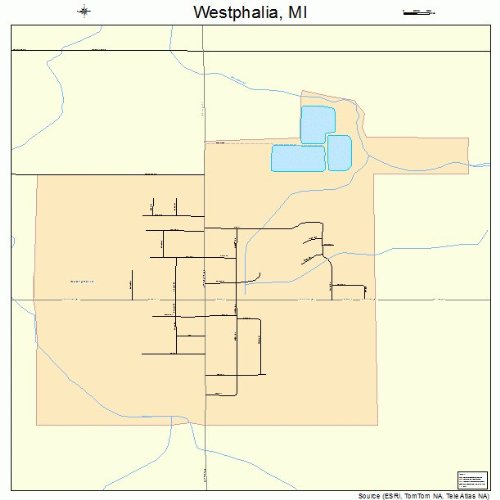Large Street & Road Map of Westphalia, Michigan MI Printed poster