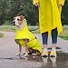 Kuoser Regenmantel Hund, Wasserdicht, Regenschutz, Gelb, M