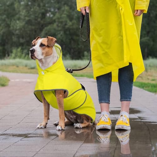 Kuoser Regenmantel Hund, Wasserdicht, Regenschutz, Gelb, M