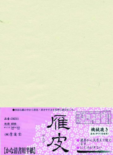 n^   ȗp 40 24211