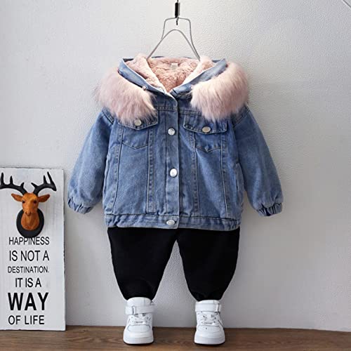 Toddler Babys Newborn Infant Girls Boys Fleece Thick Warm Hooded Jean Coat Spring Winter Clothes (b-Pink, 6-7 Years)2